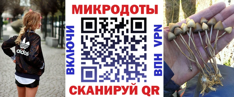 KRAKEN ссылки  Сычёвка  Галлюциногенные грибы Psilocybine cubensis 